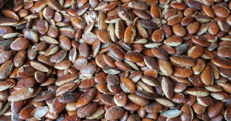 Batch cooking : l'astuce qui vous fait gagner du temps