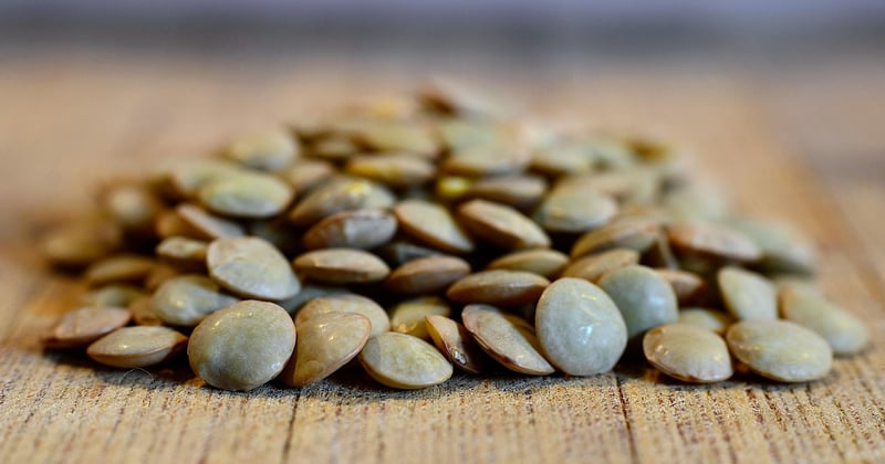 15 recettes végétariennes faciles à base de lentilles pour tous les jours